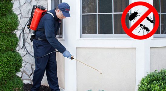 Güdül Dezenfeksiyon böcek ilaçlama ve haşere kontrolü — ilaclama-tr.com